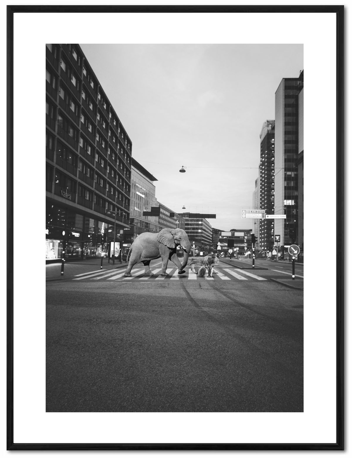 Poster Enelefant - Elefant på övergångsställe