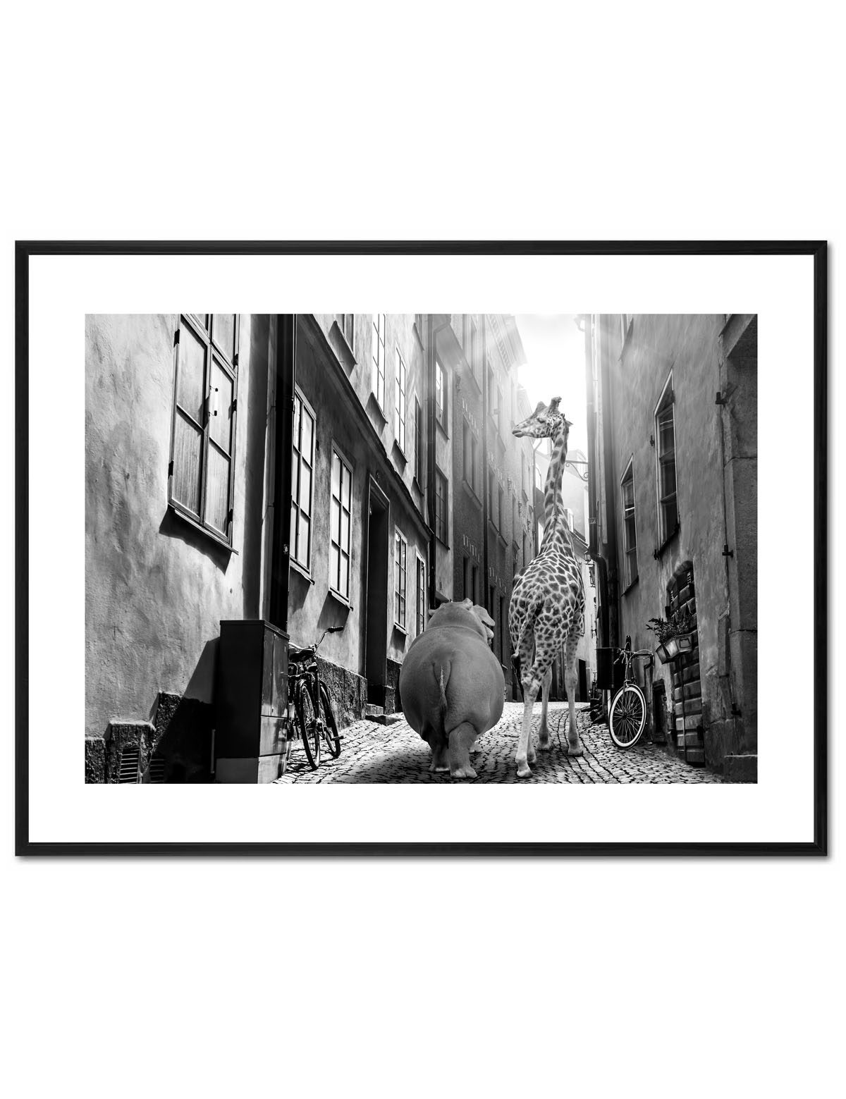 Poster Enelefant - Giraff och flodhäst i Gamla stan 30x40