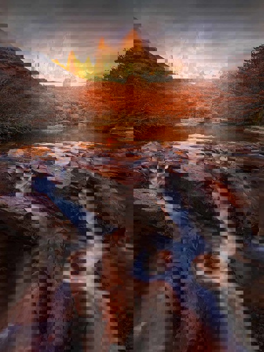 Art Print - Yan Zhang - Dreamland 70x100