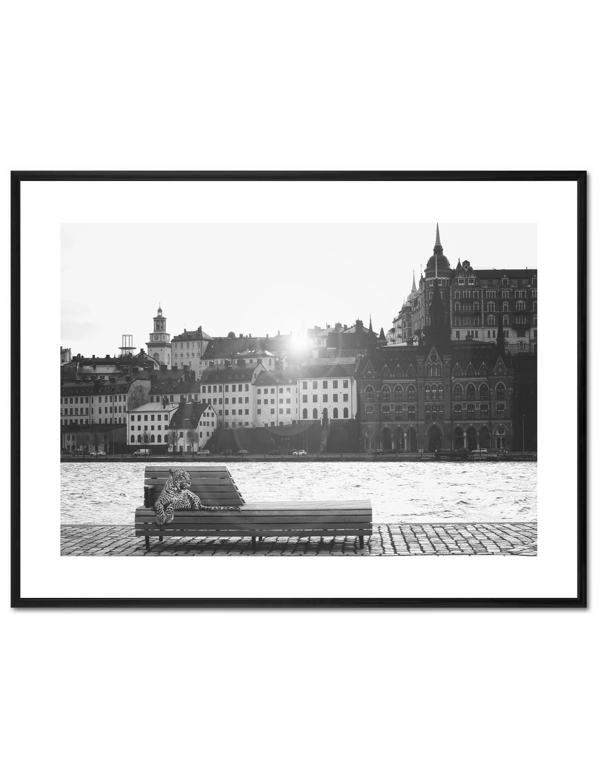 Poster Enelefant - Leopard på parkbänk 30x40