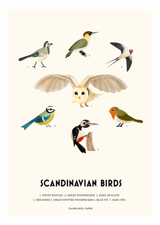 Art Print - Casablanca Paper - Scandinavian Birds 50x70