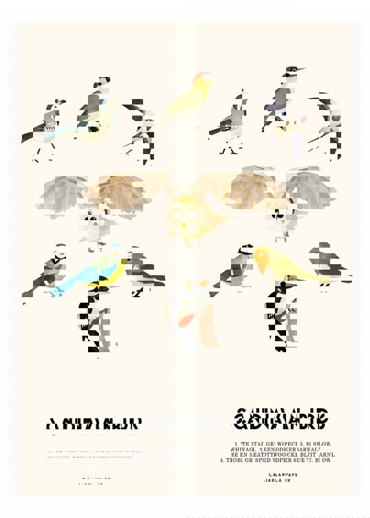 Art Print - Casablanca Paper - Scandinavian Birds 50x70