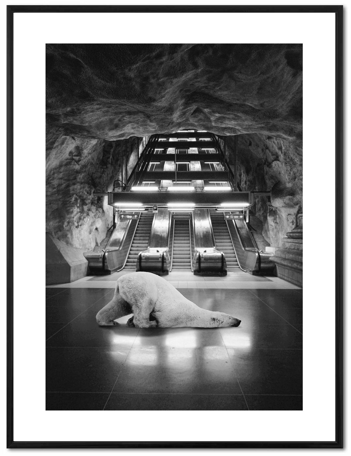 Poster Enelefant - Isbjörn i tunnelbanan 30x40