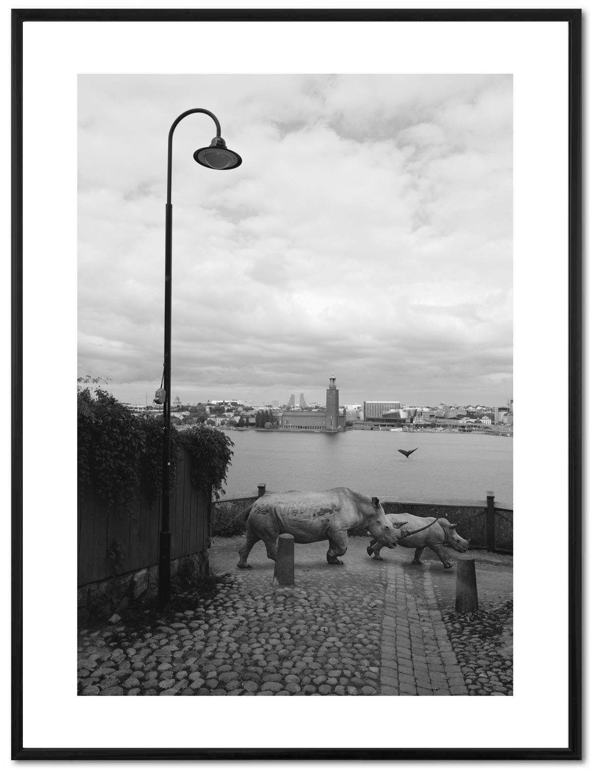 Poster Enelefant - Noshörningar på stan