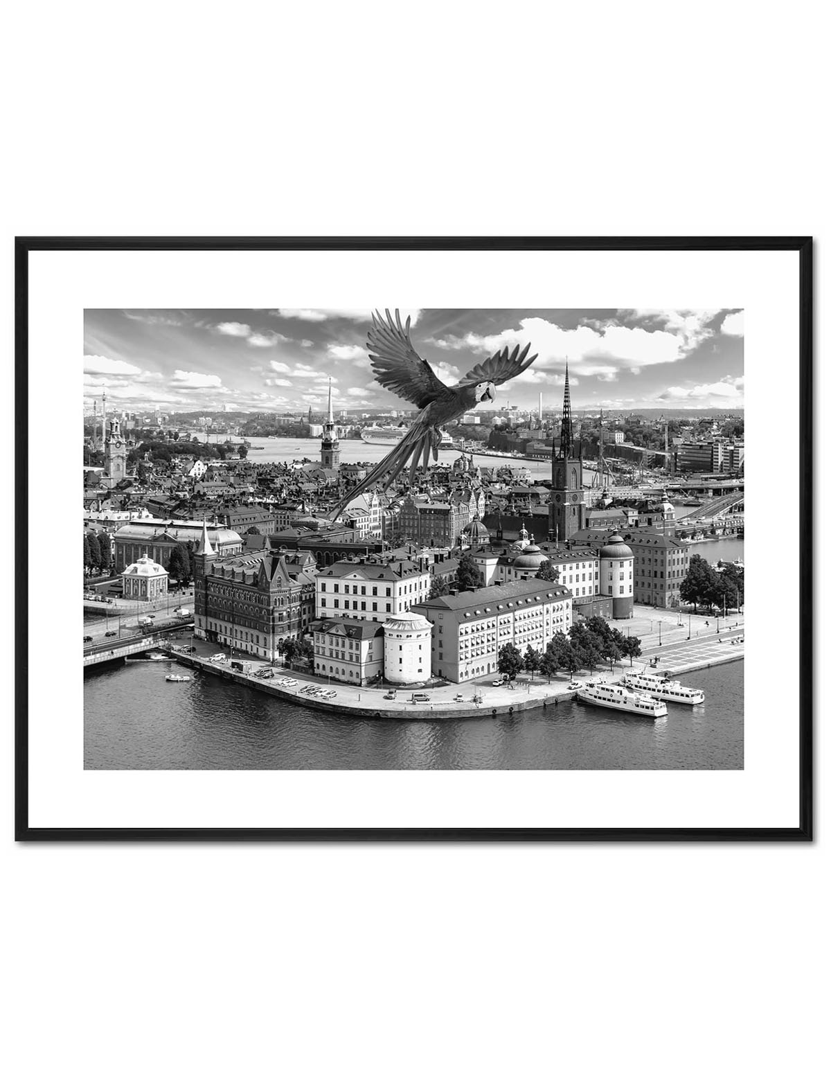 Poster Enelefant - Papgoja över Stockholm