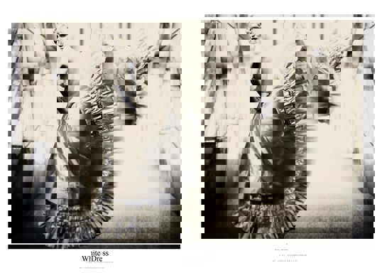 Art Print - Andreas Lundberg - White Dress