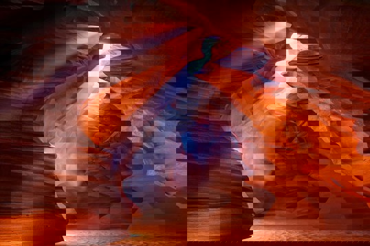 Art Print - Pure Photodelight II 21x30