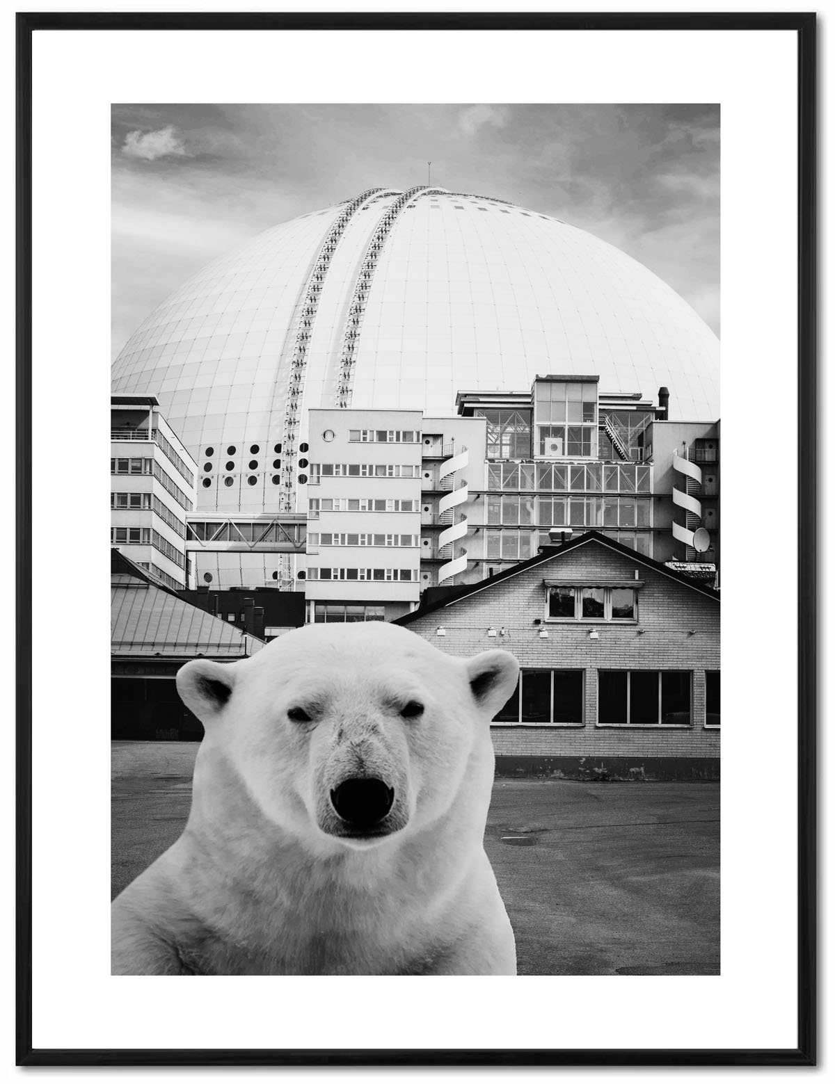 Poster Enelefant - Isbjörn vid globen