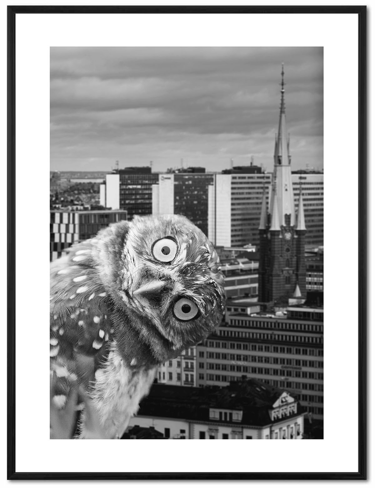 Poster Enelefant - Uggla vid St Clara kyrka