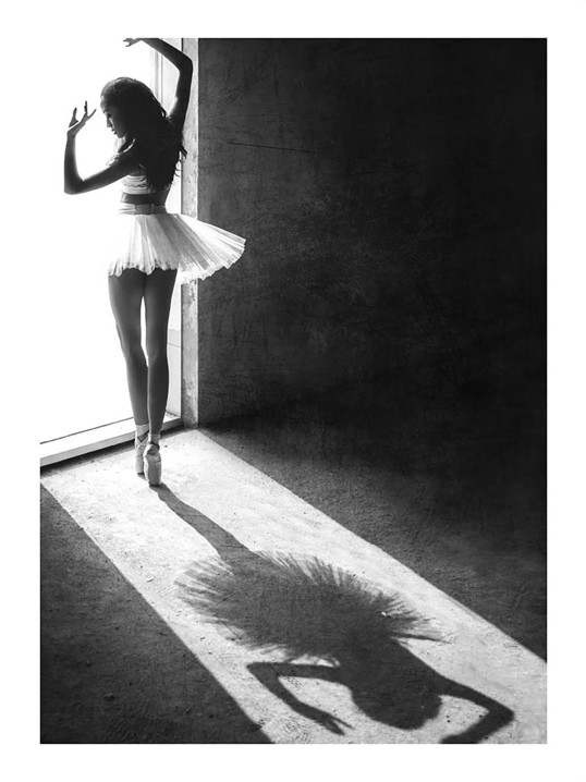 Poster Ballet Shadow 70x100