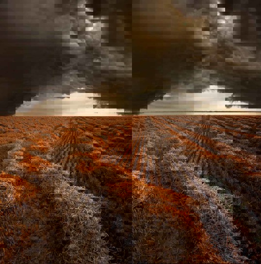 Art Print - Untitled Landscape 80x80