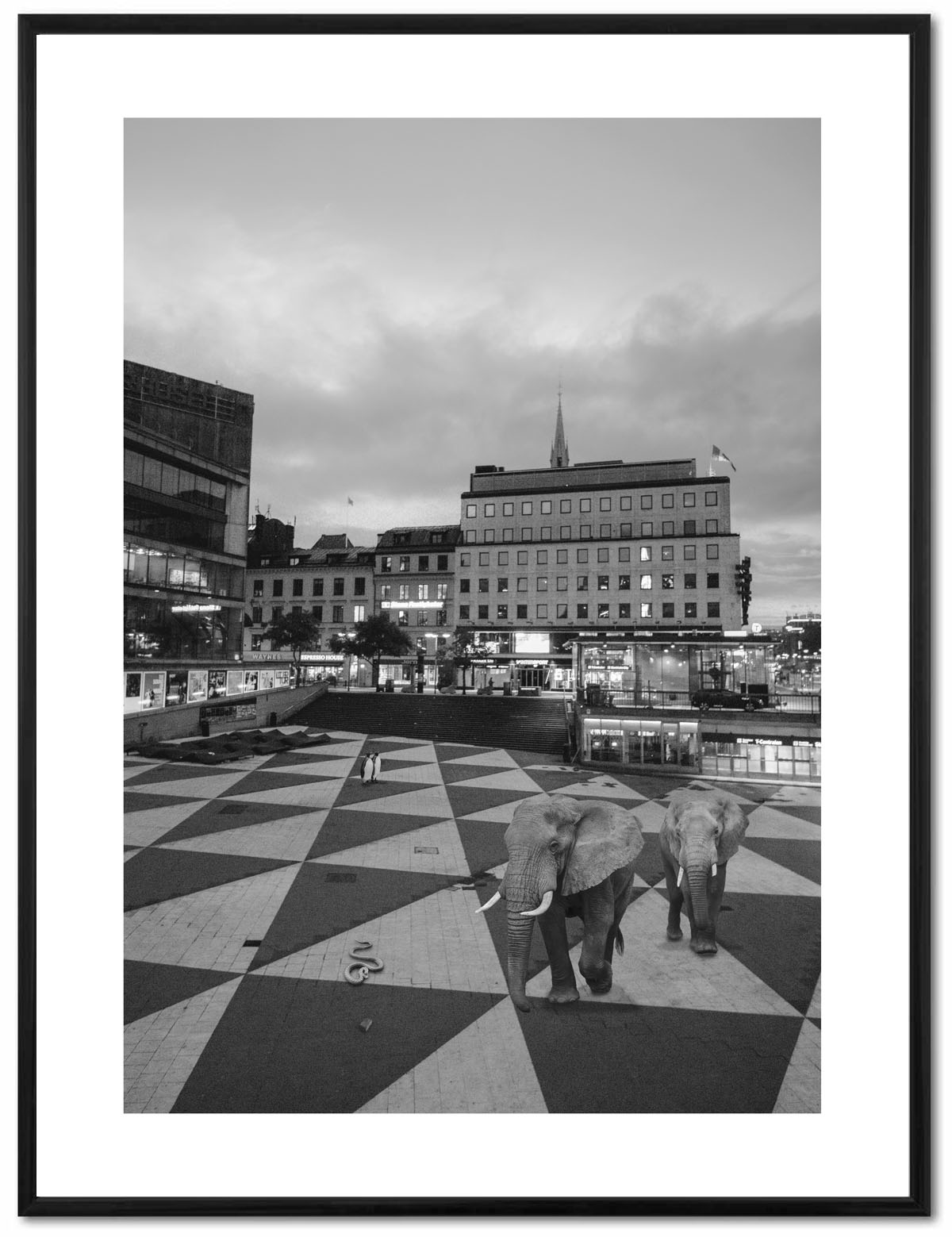 Poster Enelefant - Elefanter på Sergels torg