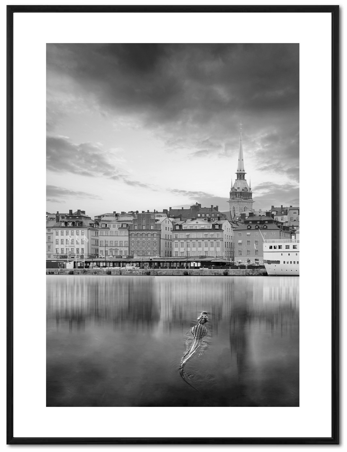 Poster Enelefant - Krokodil vid gamla stan 30x40