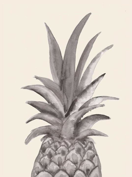 Poster Ink Pinapple 30x40