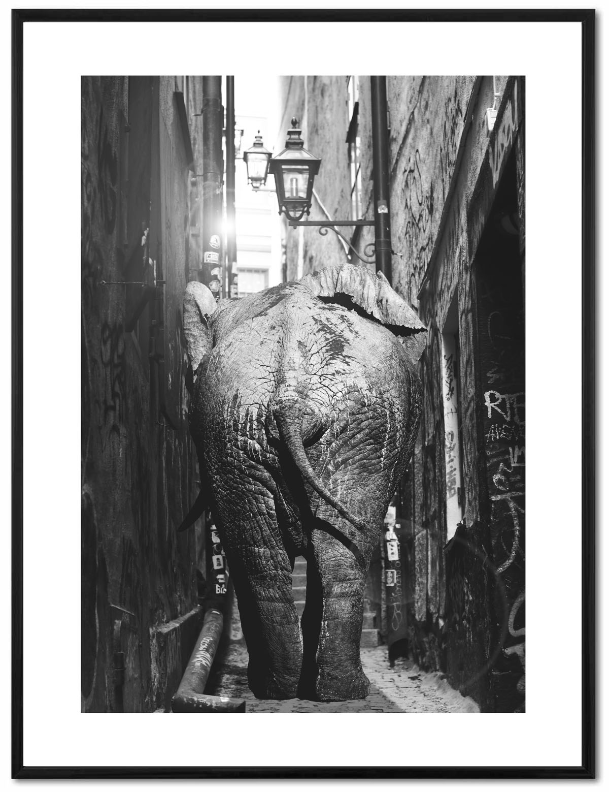 Poster Enelefant - Elefant 30x40