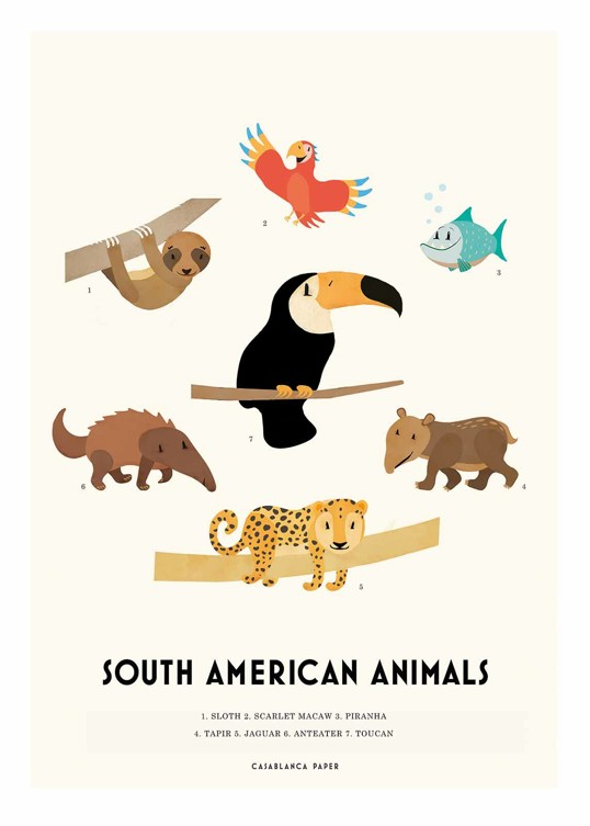Art Print - Casablanca Paper - South Amercian Animals